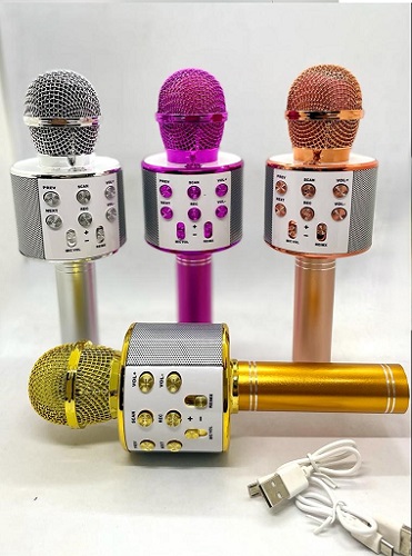 Microfono Karaoke Paralnte BT 1491ii