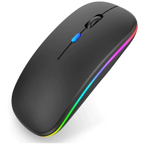 Mouse Inal