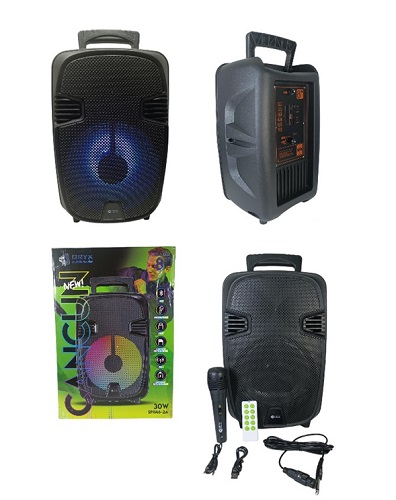 Parlante Karaoke 8 Pulgadas MX1146ii