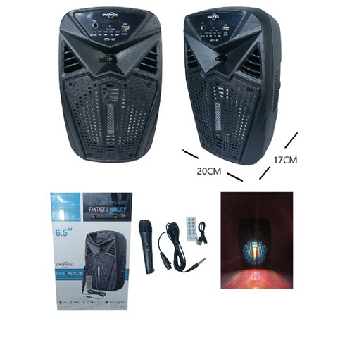 Parlante Karaoke 1187 Incluye Microfono y control USB BT Radio L
