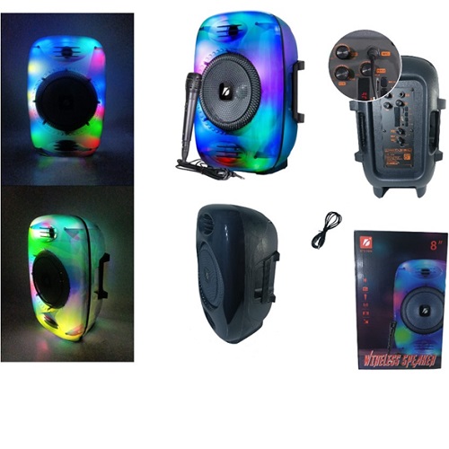 Parlante 8 Pulgadas 1896 Karaoke Iluminacion Incluye Micr