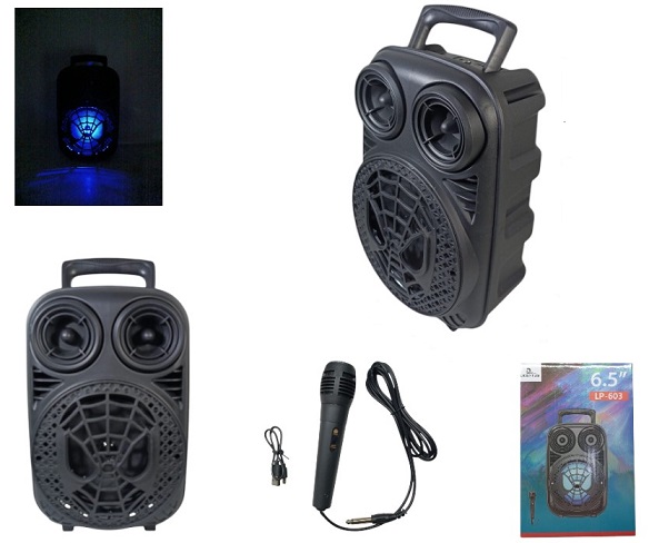 Parlante ii 603 Kar Incluye Mic BT USB Luz etcÂ 