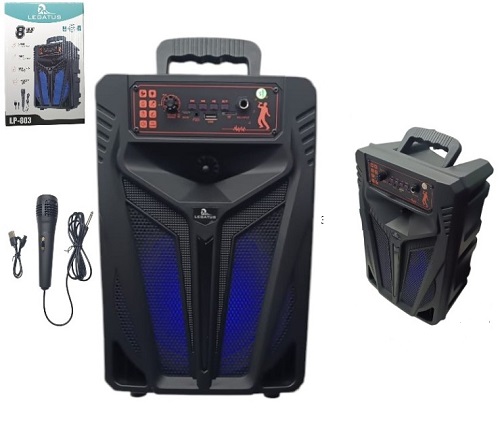 Parlante Karaoke 8 pulgadas 803ii Incluye Micr etc
