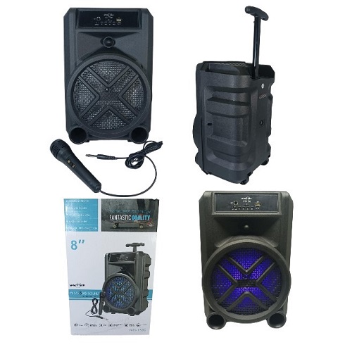 Parlantes II Carrito 8 Pulgadas karaoke Incluye Microfono USB BT