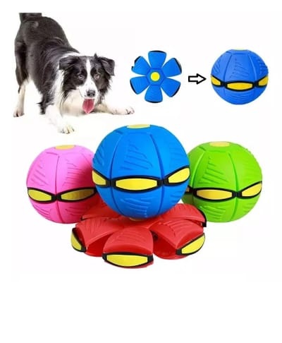 Pelota FRESBEE juguete interactivo cc